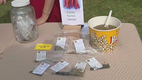 Where to buy plant seeds in bulk in Phoenix this weekend