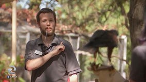 Walnut Creek: Animal rehab center may have to relocate