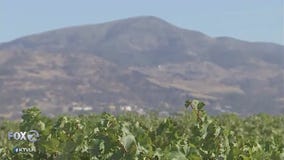 Napa winery breaks ground for tasting room rebuild, marks fire anniversary