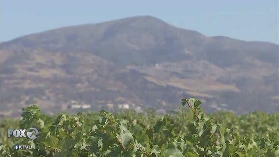 Napa winery breaks ground for tasting room rebuild, marks fire anniversary
