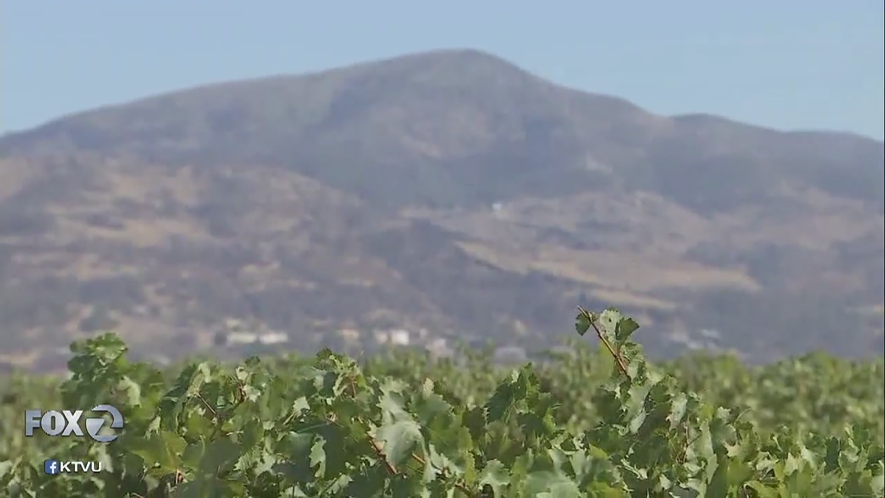 Napa winery breaks ground for tasting room rebuild, marks fire anniversary