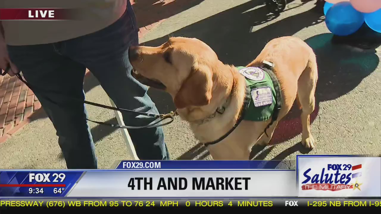 Team Foster partners service dogs with veterans