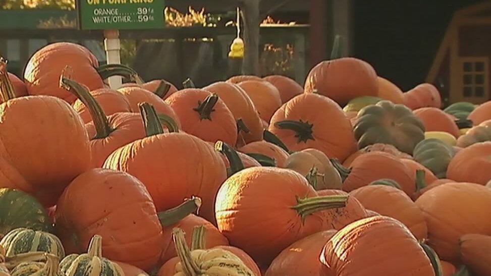How to save on Halloween costumes, decorations and candy amid rising costs