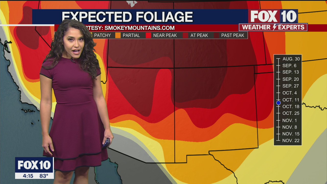 4PM Weather Forecast - 10/15/2021
