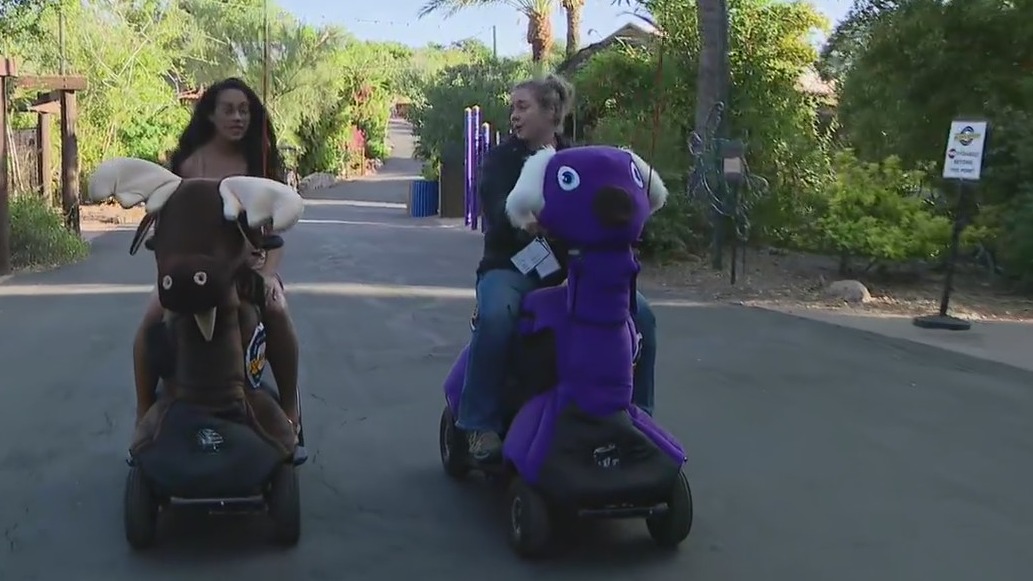 Phoenix Zoo hiring for holidays