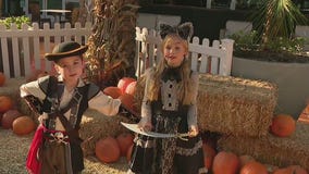 Creepy Candy Crawl at Desert Ridge Marketplace