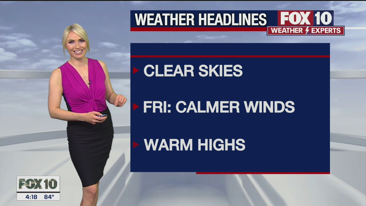 Weather Forecast - 11/11/21