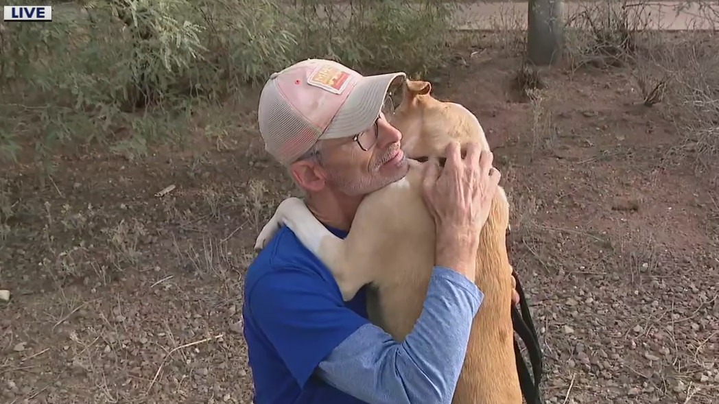 Tempe pet rescue, Airbnb team up to take shelter dogs on hikes