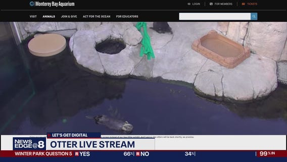 Let's Get Digital: March 17