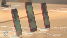 Analyst: Market matures, consumers seek variety in iPhone sizes