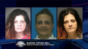 WANTED: Tiffany Doll