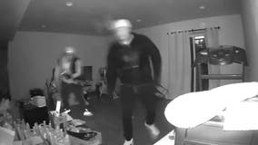 WANTED: Home burglars