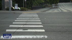 Murder Mystery: Francis Gaspar