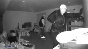 WANTED: Serial home burglary suspects