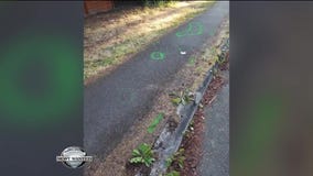 WANTED: Deadly hit and run driver