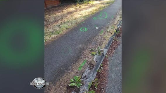 WANTED: Deadly hit and run driver