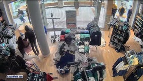WANTED: Bellevue Square looting suspects