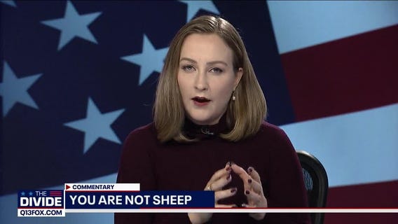 The Divide: Commentary