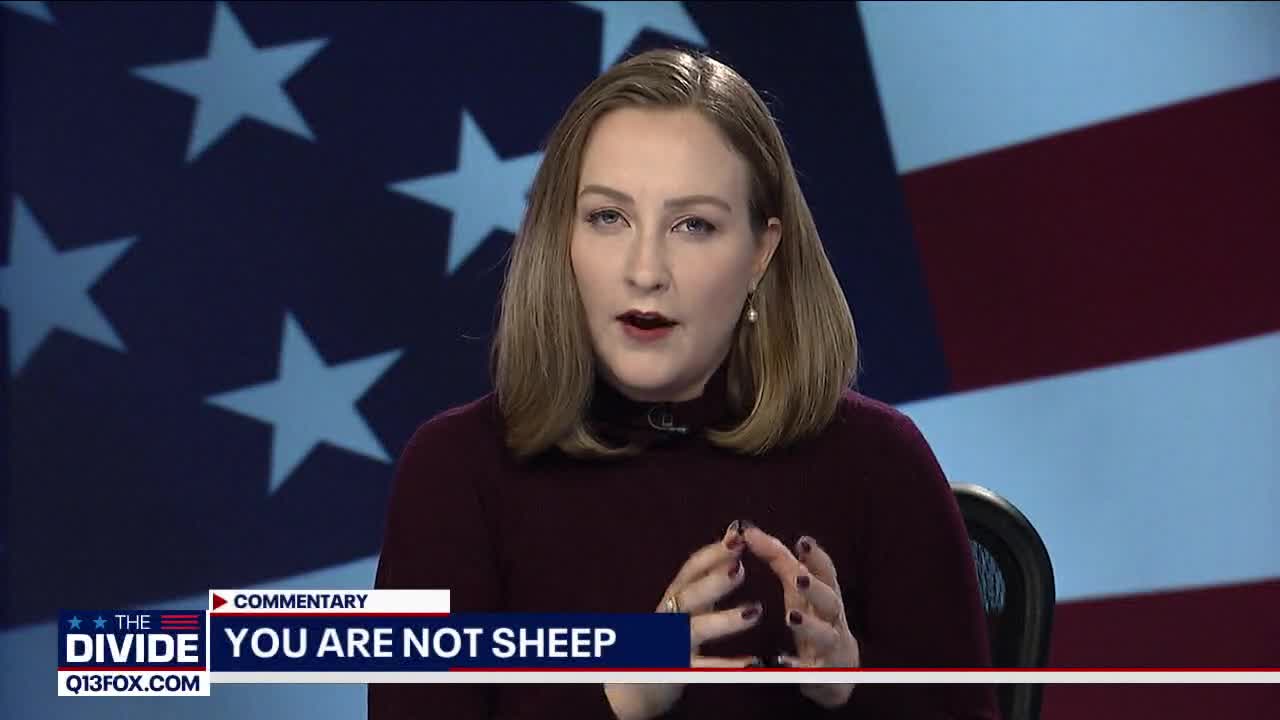 The Divide: Commentary