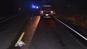 WANTED: Deadly hit and run driver