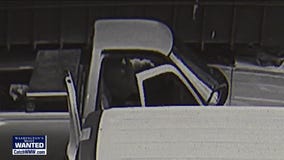 WMW Mountlake Terrace vehicle prowl tool thieves