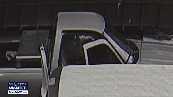 WMW Mountlake Terrace vehicle prowl tool thieves