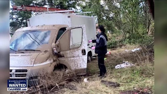 WANTED: Devastating business burglars