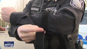 WANTED: Bus stabbing suspect