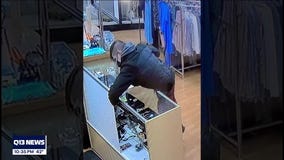 WANTED: Thief who stole from non-profit that helps rescue animals in need