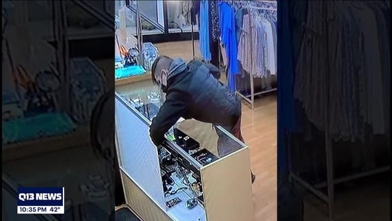 WANTED: Thief who stole from non-profit that helps rescue animals in need