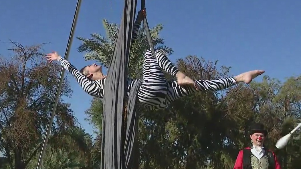 Animals After Dark: An aerial experience at the Phoenix Zoo