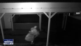 WANTED: Food bank burglary, van-stealing suspect