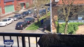 WANTED: Shooting suspects