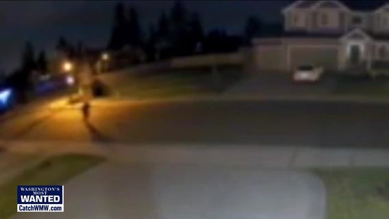 WANTED: Serial home-shooting suspect