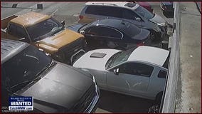 WANTED: Deliberate hit and run driver