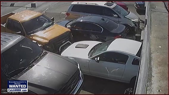 WANTED: Deliberate hit and run driver