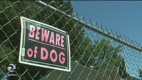 Fairfield woman seriously injured in attack by own dog