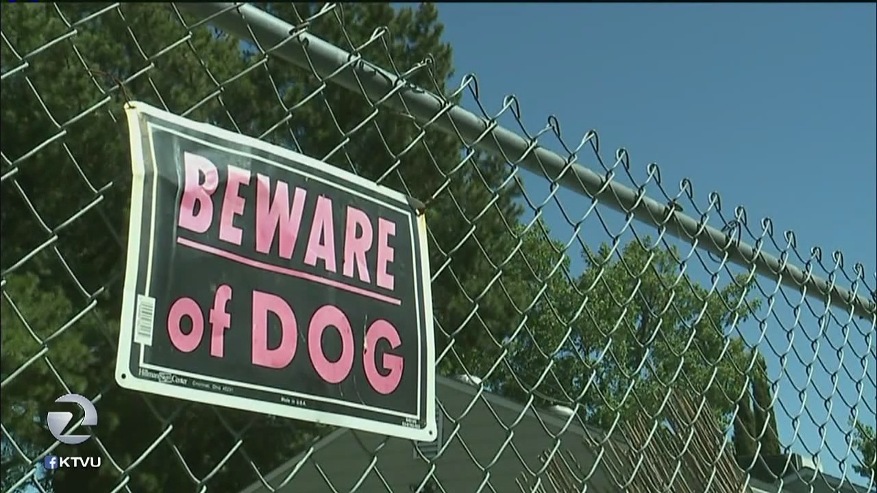 Fairfield woman seriously injured in attack by own dog