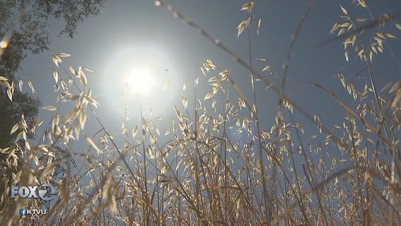Unseasonably warm: San Jose reaches 90 degrees