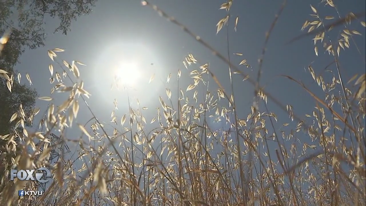 Unseasonably warm: San Jose reaches 90 degrees