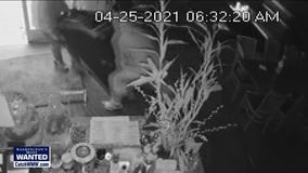 WANTED: Crime spree crooks