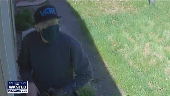 WANTED: Determined, destructive home burglars