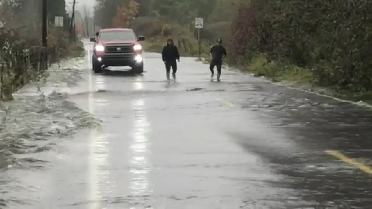 Salmon cross flooded road in Washington state
