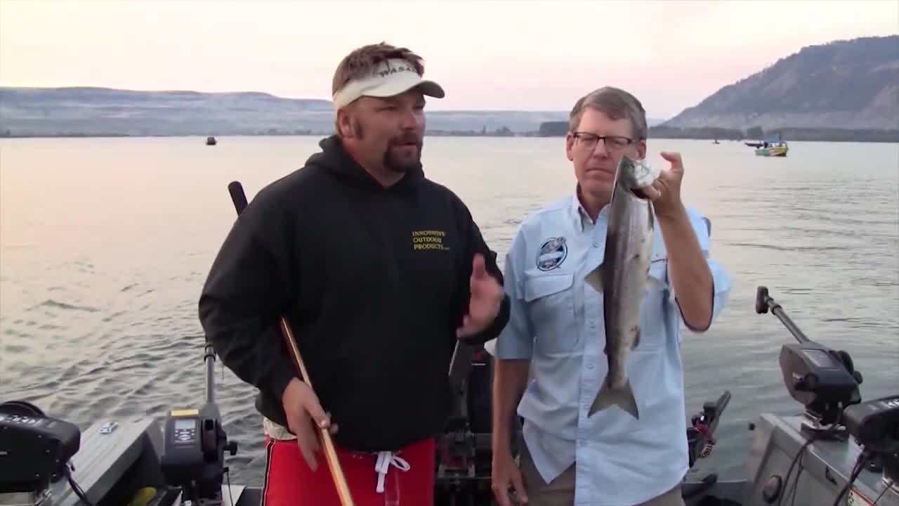 Tip Tuesday: Scent and Salmon