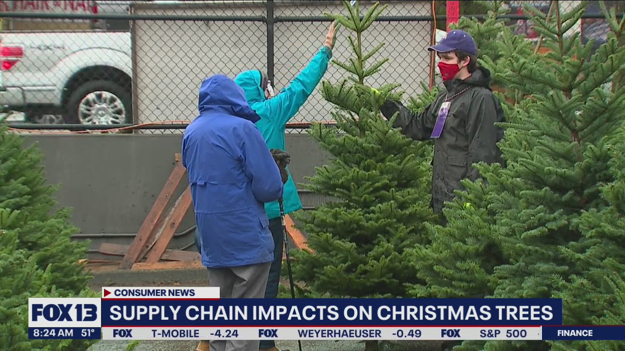 Christmas Tree shortage? Supply chain's impact on real, artificial trees