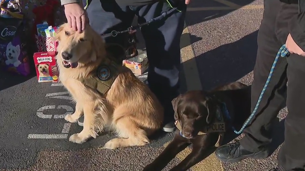 Scottsdale Police dog celebrating birthday with supply drive to benefit homeless pets