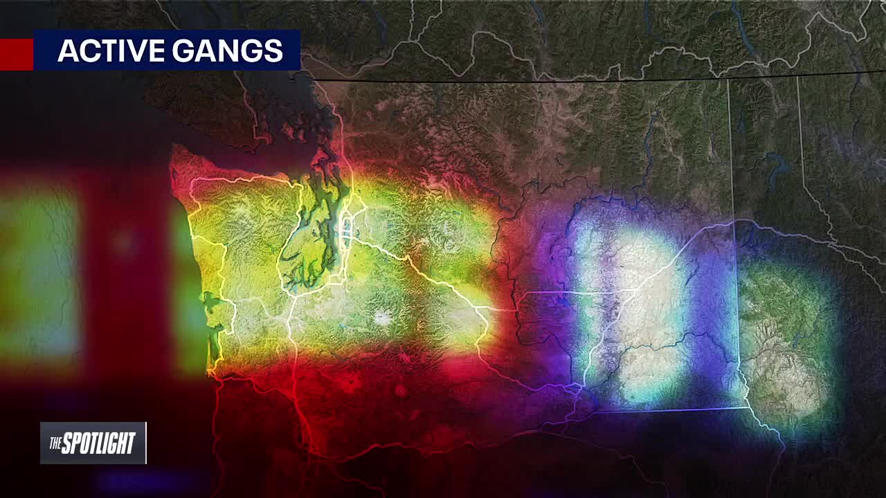 The Spotlight: Gangs aren't just a city problem anymore