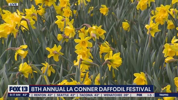 8th annual La Conner Daffodil Festival
