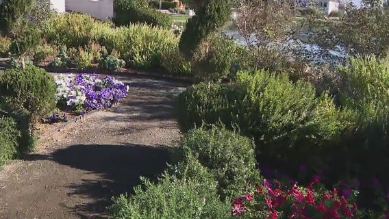 Queen Creek Botanical Garden is much more than a garden, but an entire experience