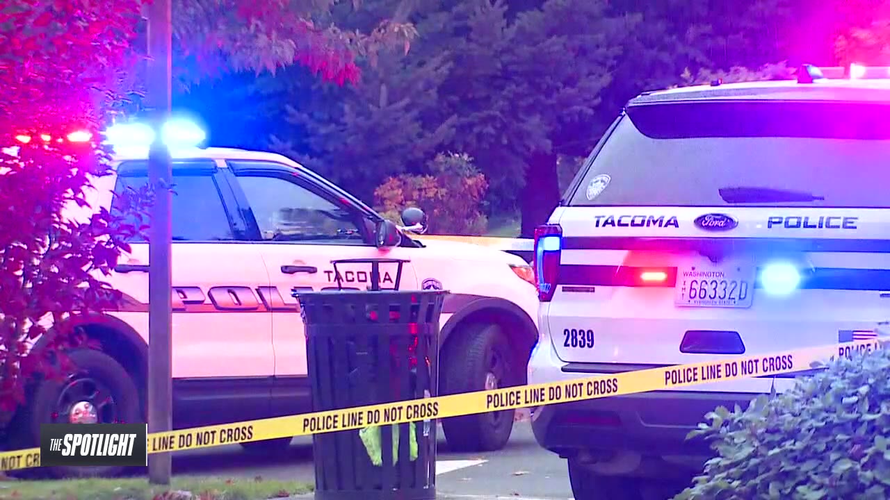 The Spotlight: Summer of Violence